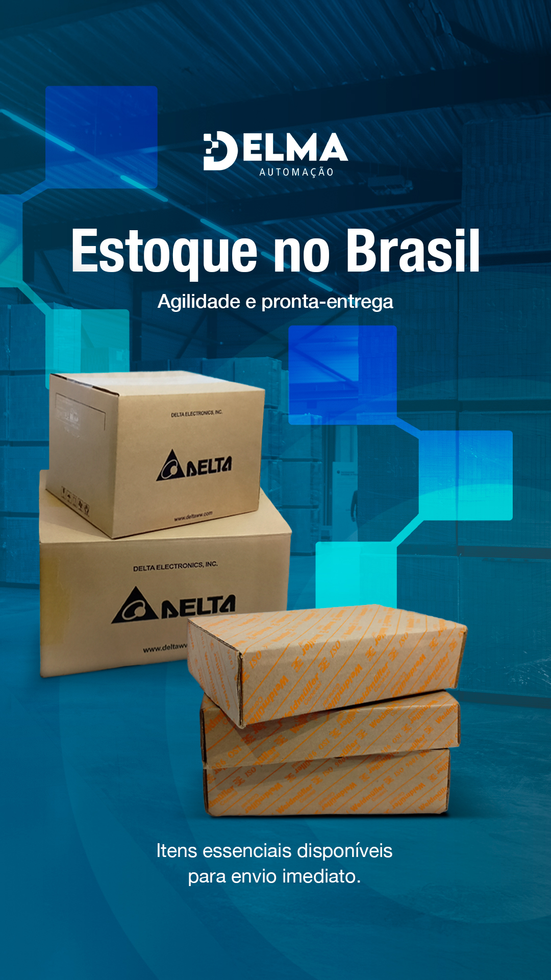 Story-Delma-EstoqueBrasil (1)